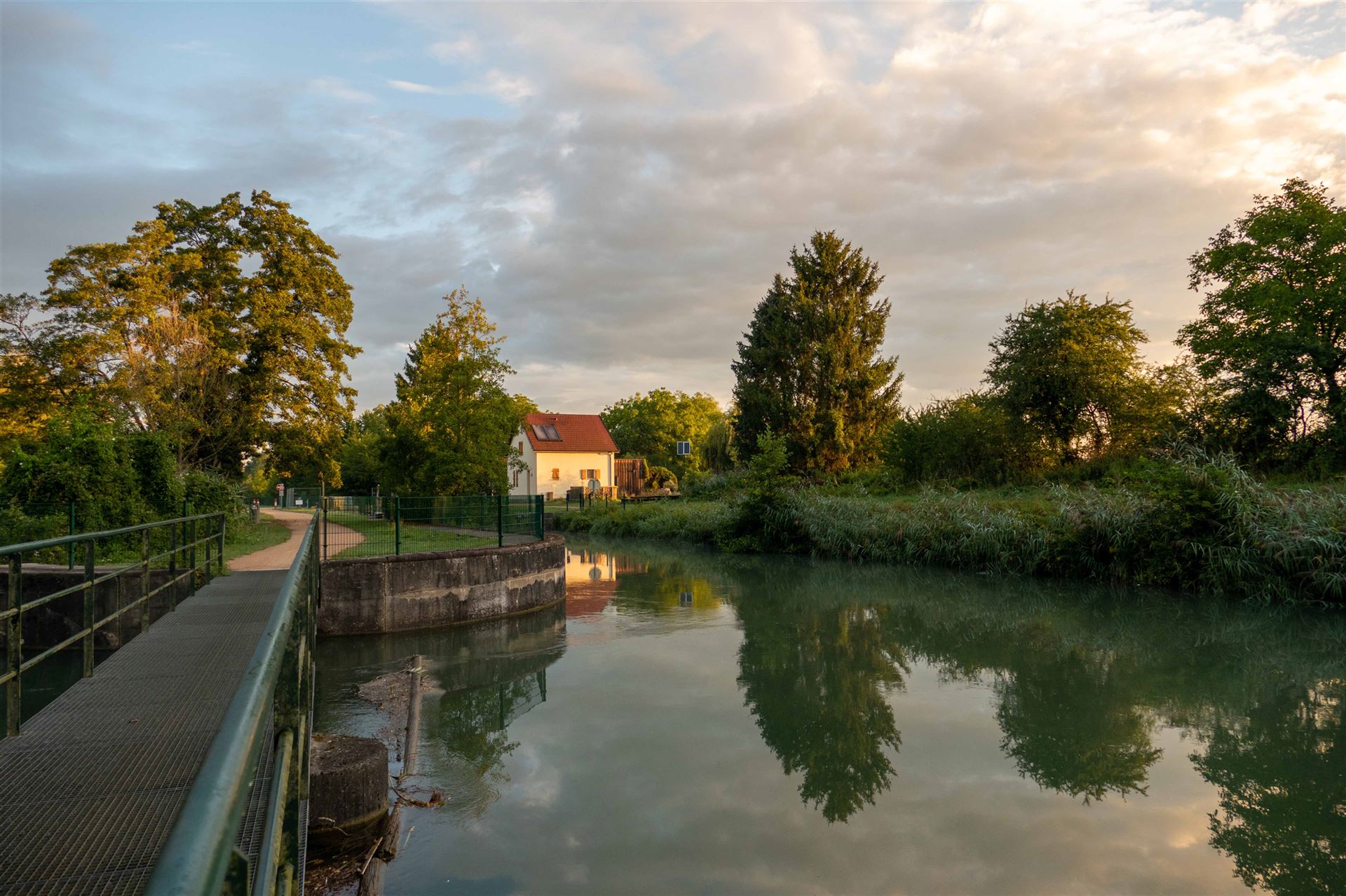 Petite Camargue im Elsass