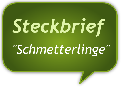 Steckbrief 